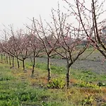 Vakantieboerderij Ca' Baccan Cavallino-Treporti