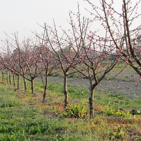 Alloggio per agriturismo Ca' Baccan Cavallino-Treporti